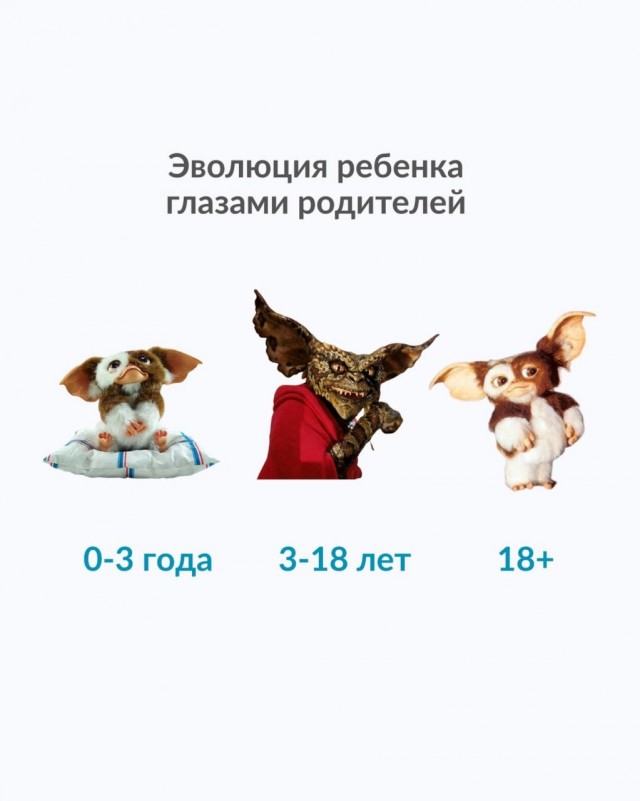 Картинки для деградации 181 (разной степени свежести)