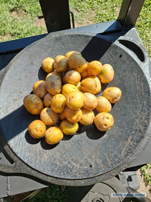 Мангальная зона
