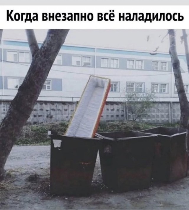 Веселые картинки в пятницу (05.06)