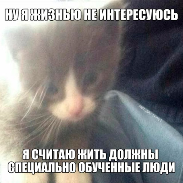 Картиночки, баянчики 01 августа