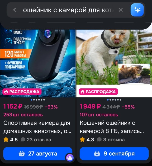 Экшн-камера для кота