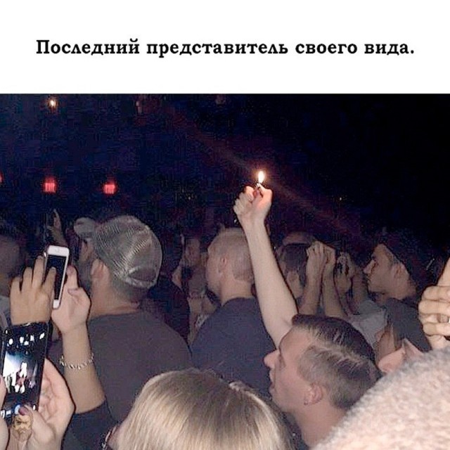 Так себе картинки 22.10.26