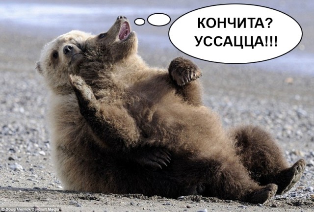 Новый мидвет!