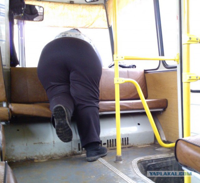Фотоохота на задницы