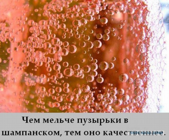 Шампанское. От винограда до пены