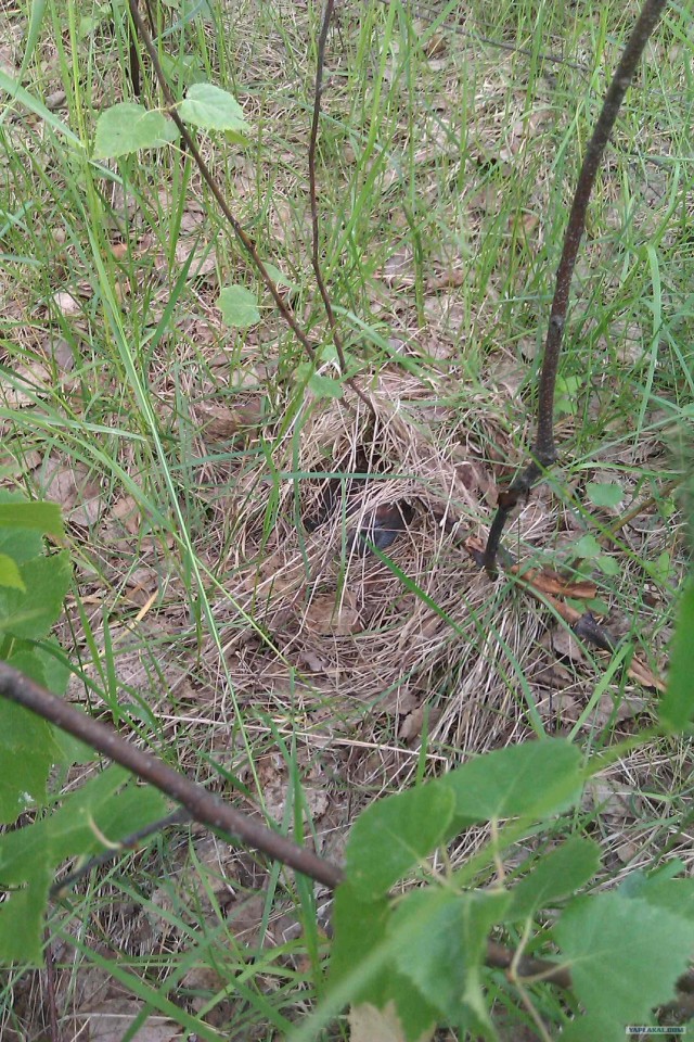 Просто выходные...