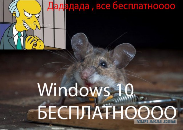 Обзор финальной Windows 10