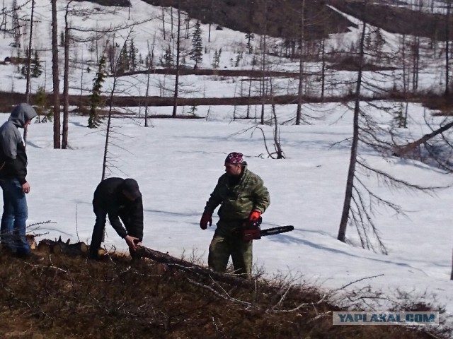 ЯП съездил за Полярный круг