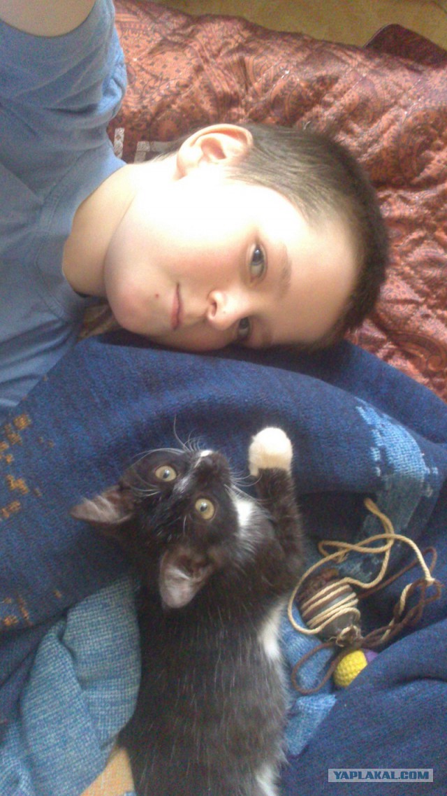 Котовторник