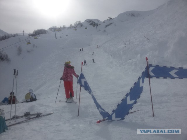 Поездка на Роза Хутор