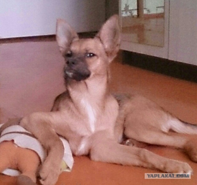 Очередная подборка картинок из сети