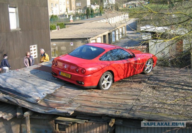 Подборка смешных, не очень и просто красивых фотографий