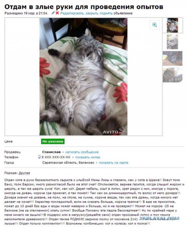 Объявления с Авито