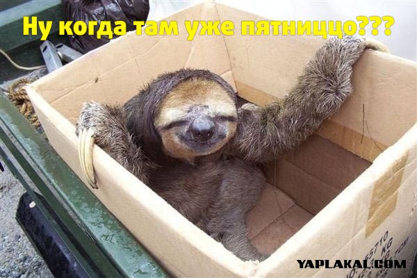 Где же пятница?