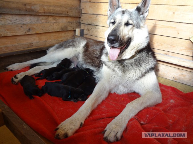 Что видят с рабочего места люди разных профессий