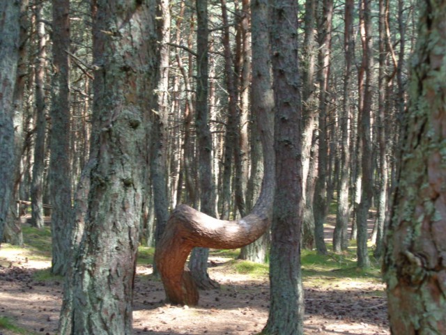 Калининград