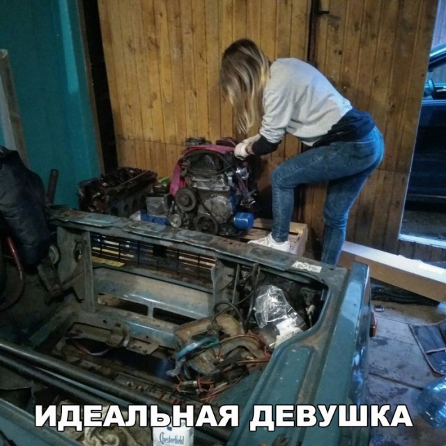 Подборка безудержного веселья