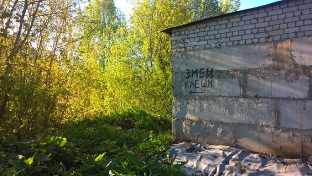 Подборка интересных и веселых картинок