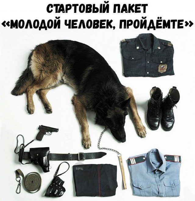 Подборка интересных и веселых картинок