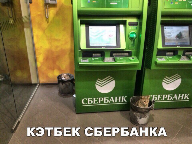 150 картинки для поднятия настроения!