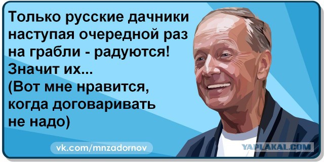 "Любовь убивает не ложь, а правда". 10 легендарных цитат Михаила Задорнова