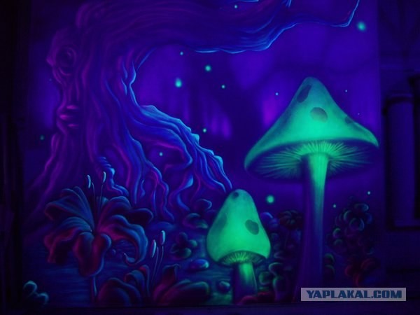 Волшебные грибочки