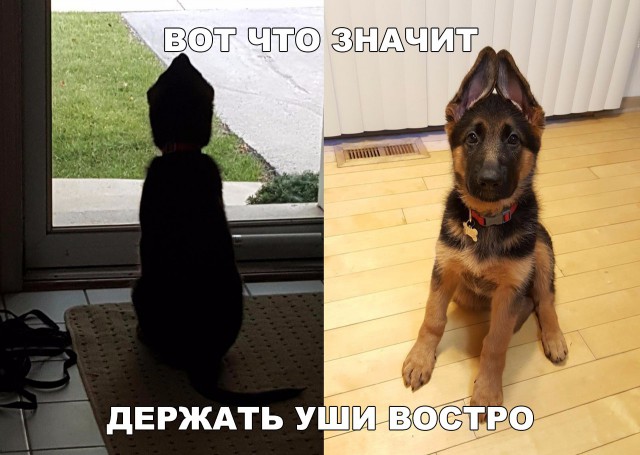 Нестандартный юмор