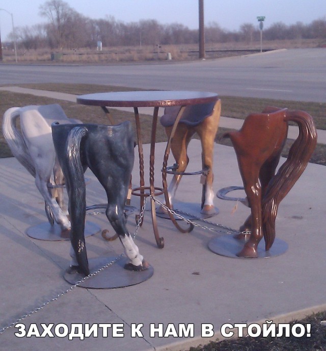 Приколы в картинках или прикольные картинки?