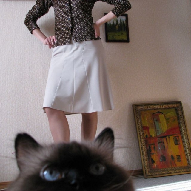 Уррааа! Котовторник на ЯПлакалъ!