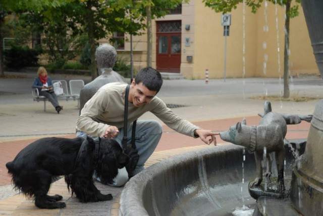 Живность из сети