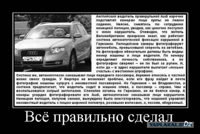 Чутка веселухи