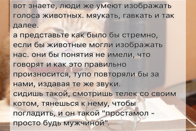 Специфический юмор