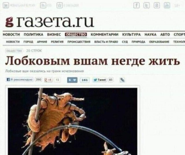 Нестандартный юмор