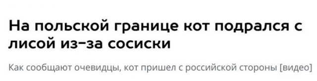 Пользователи интернета видят рифмы и слагают прикольные четверостишия