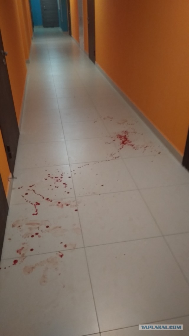 Что делать, если шумные компании не дают ночью уснуть