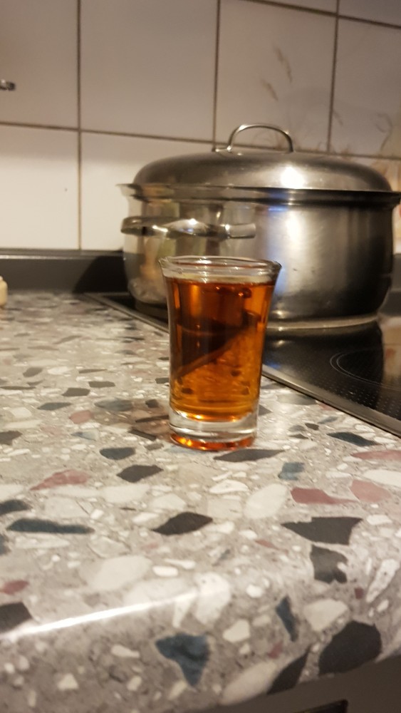 Грибы