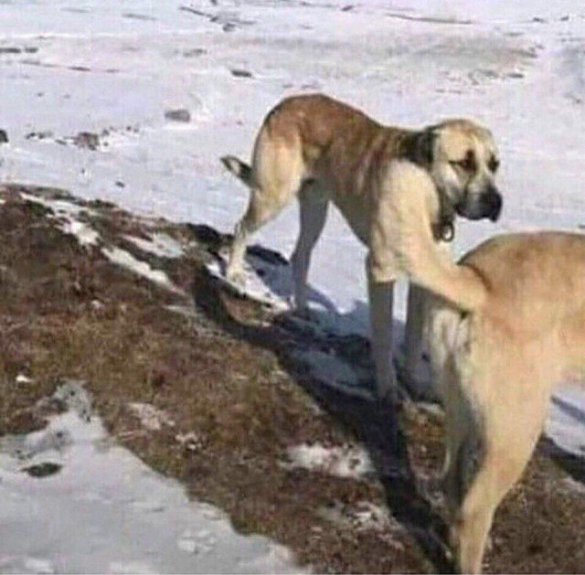Немного картинок на пятницу