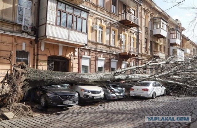 В Одессу на ПМЖ