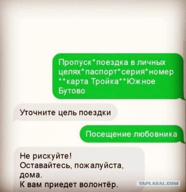 Картинки из рабочего чата 23.04