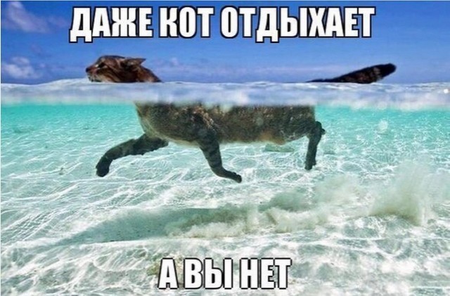 Чуток картинок 01.05.20