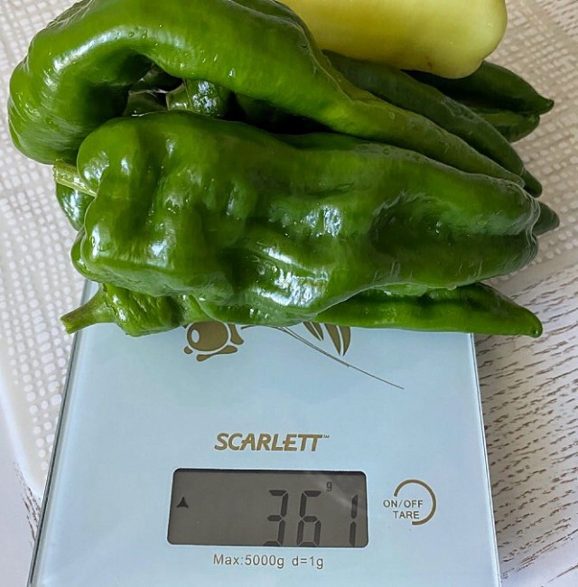 Острый солёный перец