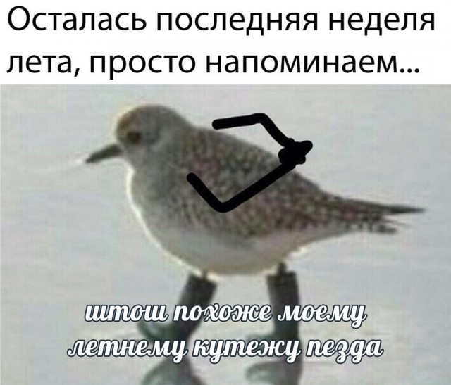 Вот и лето прошло