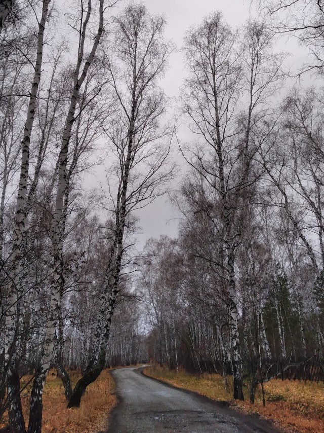 Тоска, уныние и безысходность городских окраин