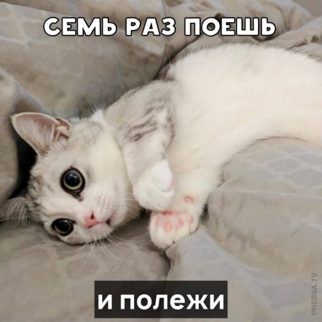 Картинки и мемы для настроения 008