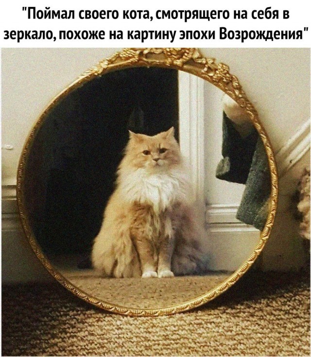 Немного картинок с надписями и без 18.12.2020