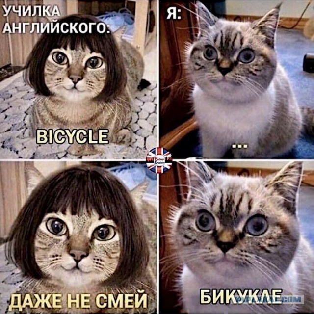 Учим английский