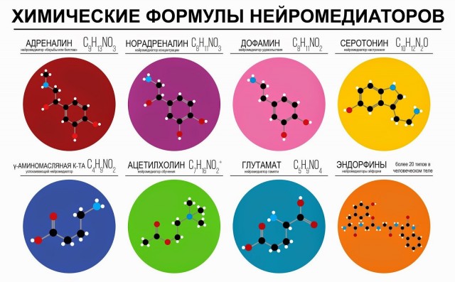 Бредзона 27.02.21