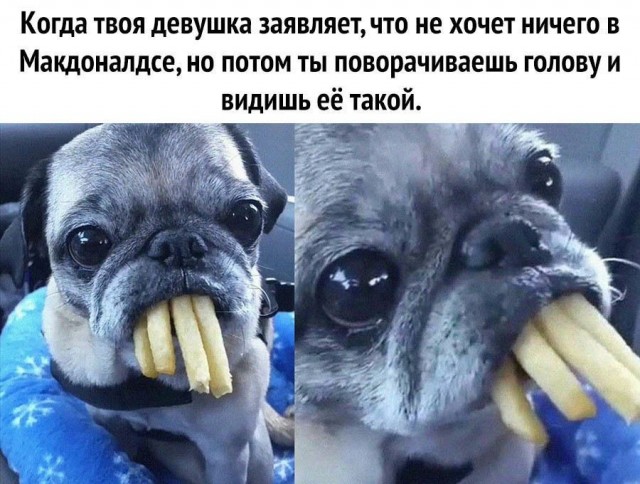 Немного картинок с надписями и без - 21.03.2021