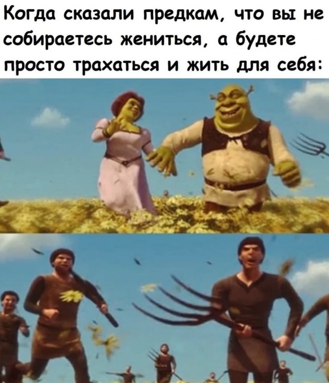 Аморальная деградация