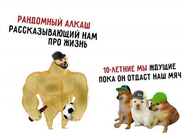 Весёлый полтишок 23.07